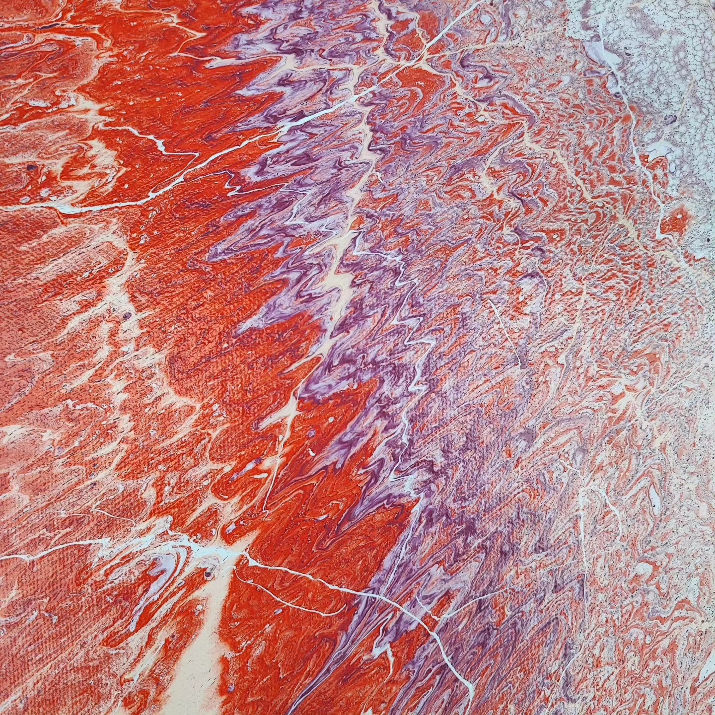 Fissure - 60x60cm - 2023 - Tableau abstrait moderne coloré