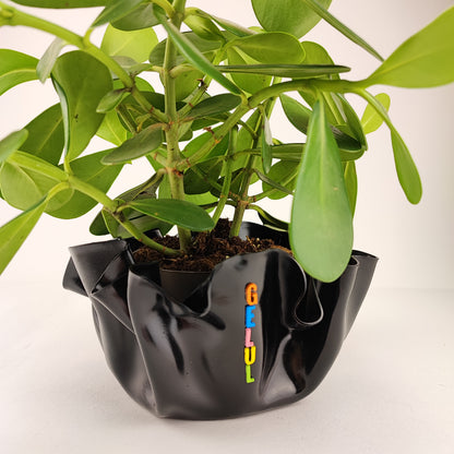 Pot / Cache pot / vide poche Gelul #10