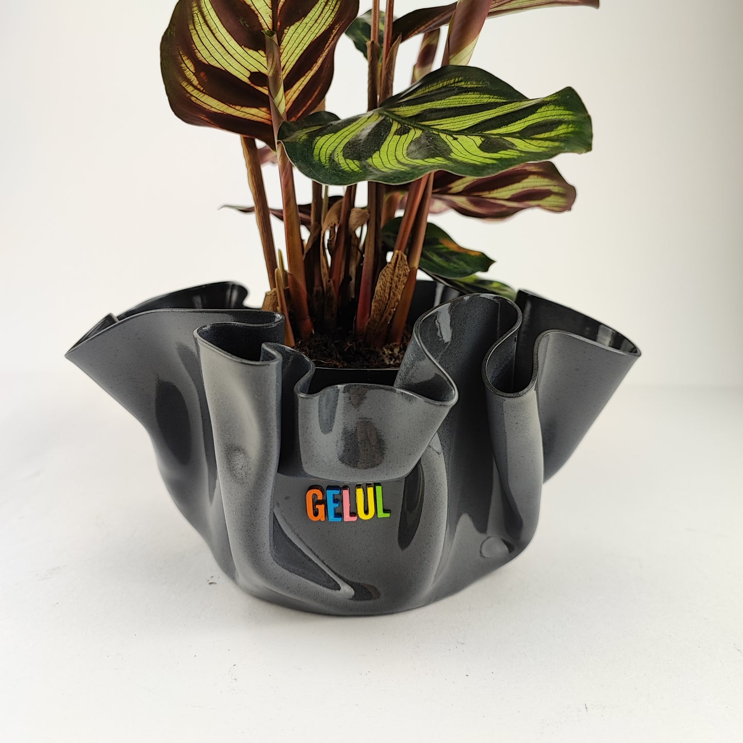Pot / Cache pot / vide poche Gelul #12