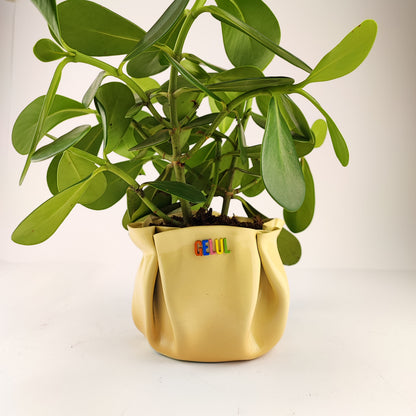 Pot / Cache pot / vide poche Gelul #14