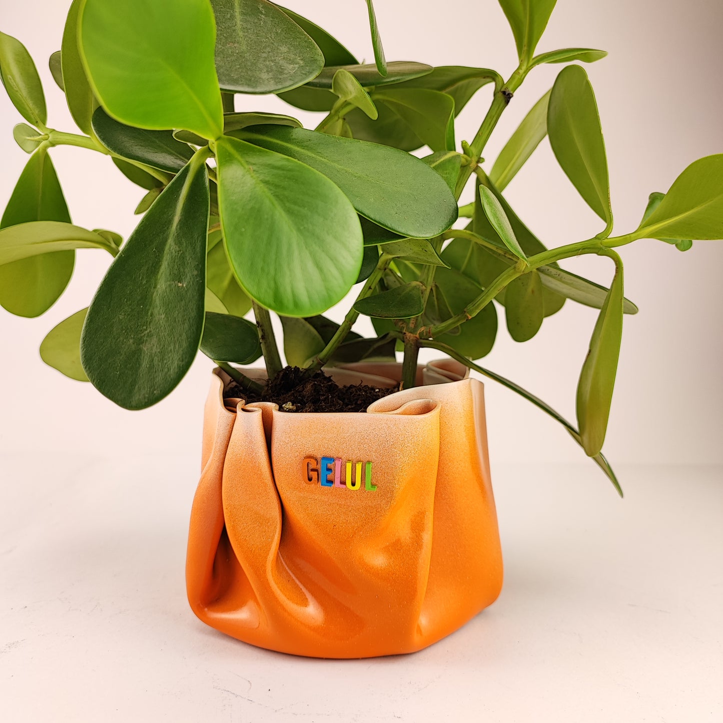 Pot / Cache pot / vide poche Gelul #17