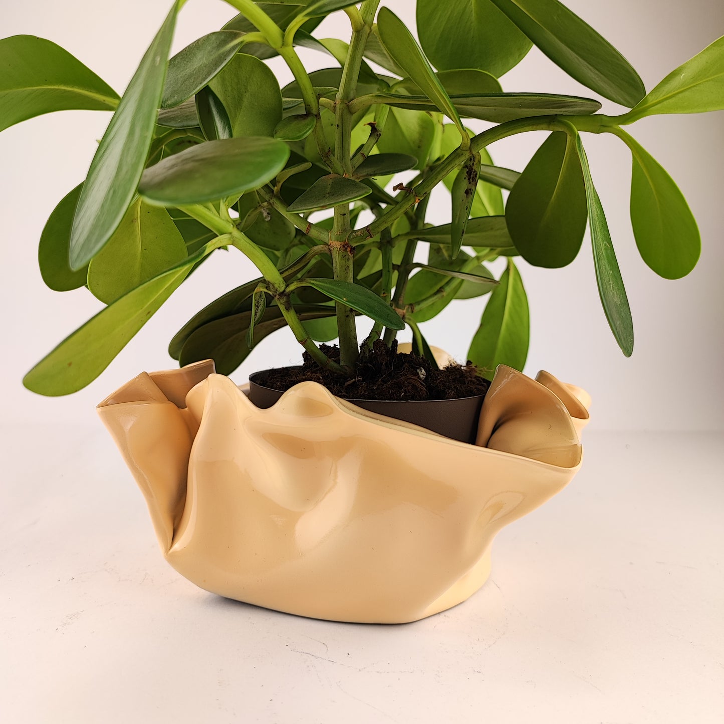 Pot / Cache pot / vide poche Gelul #18