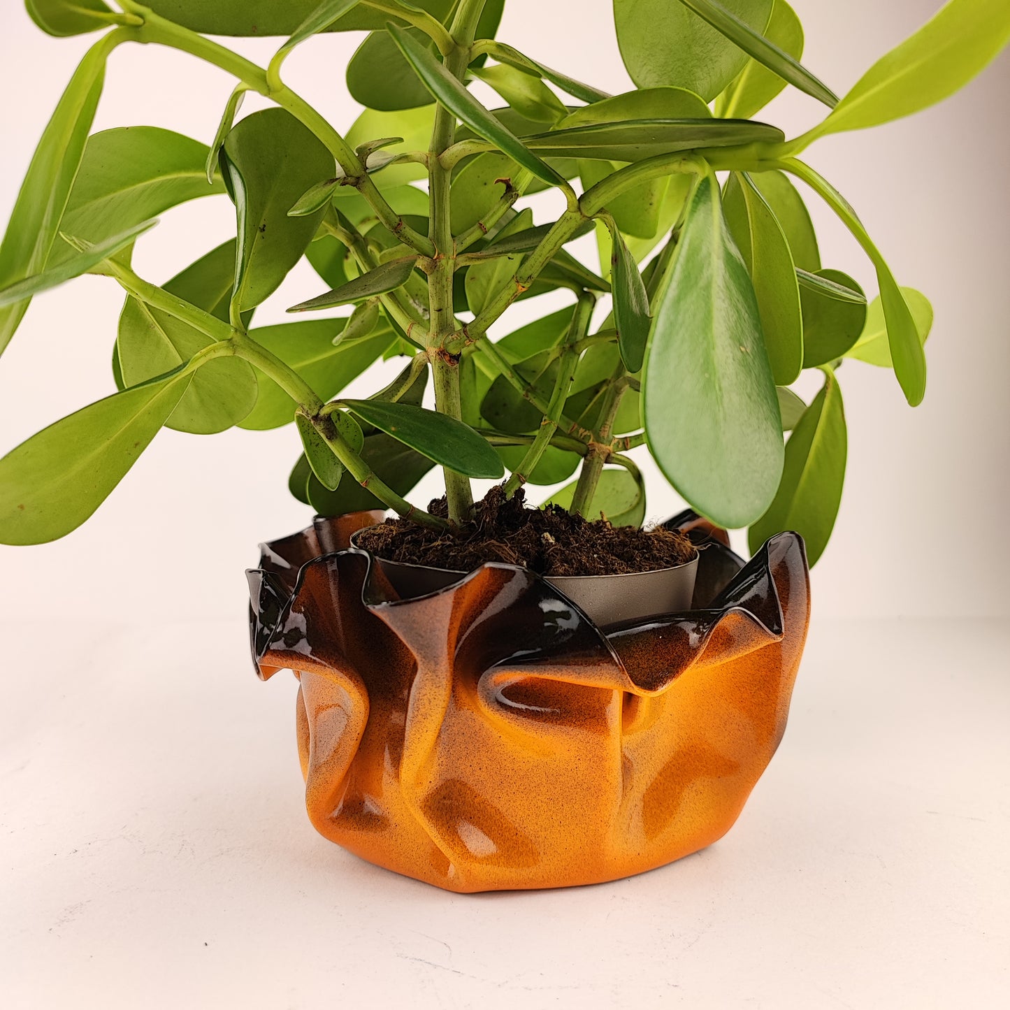 Pot / Cache pot / vide poche Gelul #19