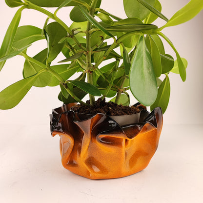Pot / Cache pot / vide poche Gelul #19