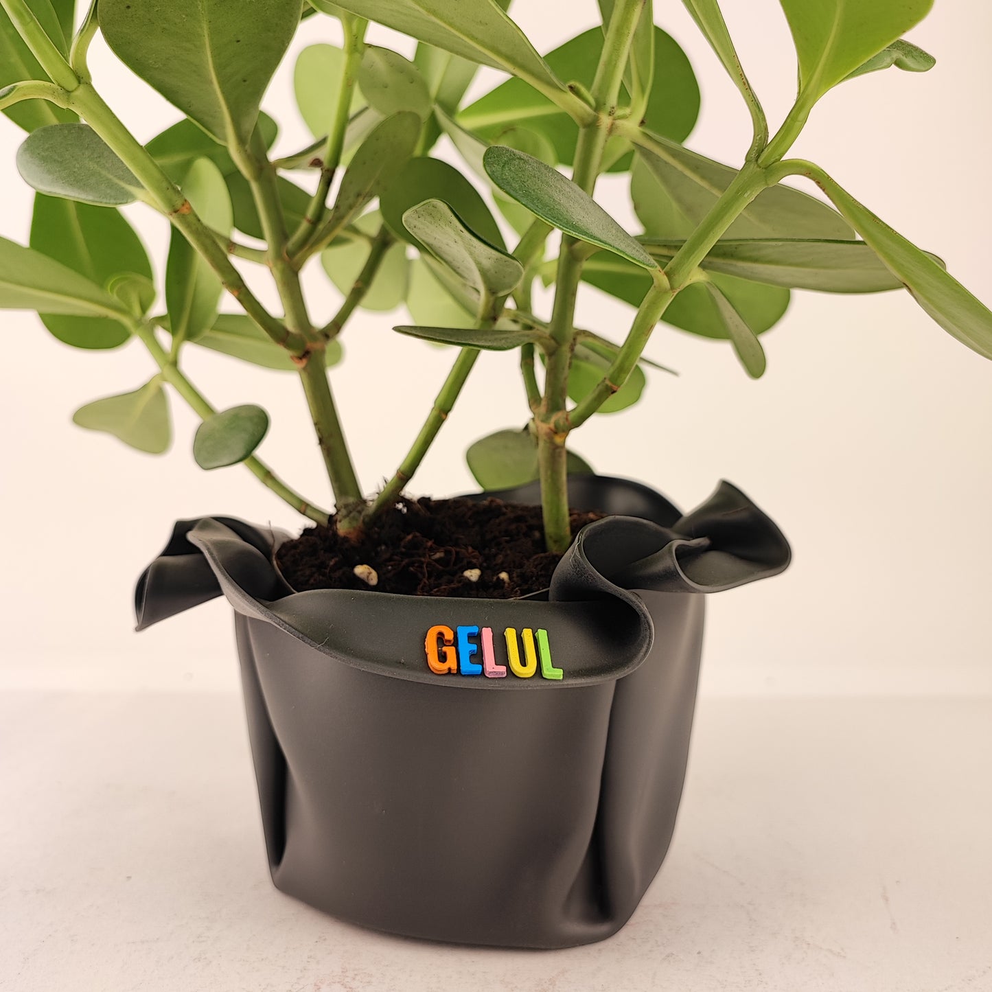 Pot / Cache pot / vide poche Gelul #53