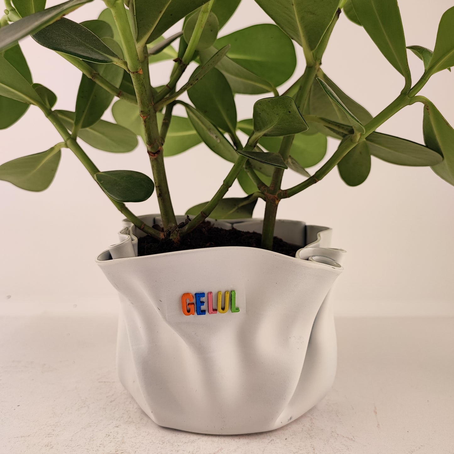 Pot / Cache pot / vide poche Gelul #66